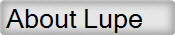 About Lupe