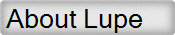 About Lupe